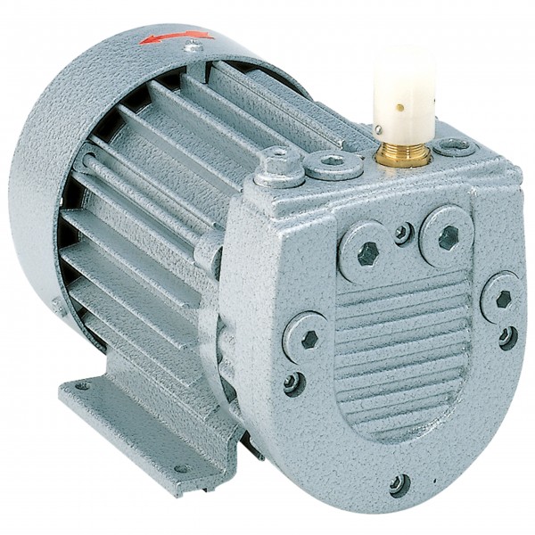 DT4.8 Motor trifásico, asíncrono