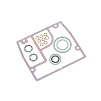 Juego de juntas U3.6S 54900023900 Juego de juntas U3.6S 54900023900